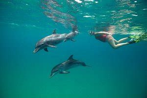 Wildquest Beach: Pictures & Reviews .